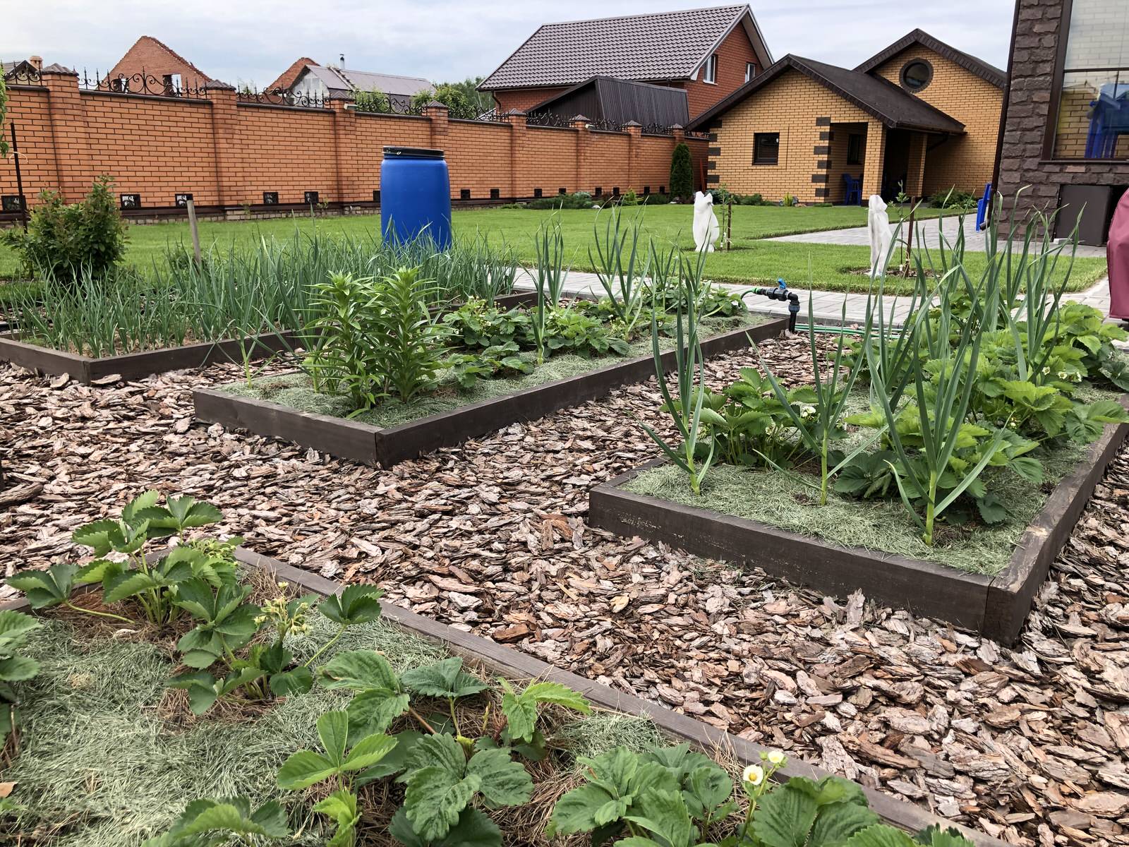 Озеленение частных участков и укладка рулонного газона