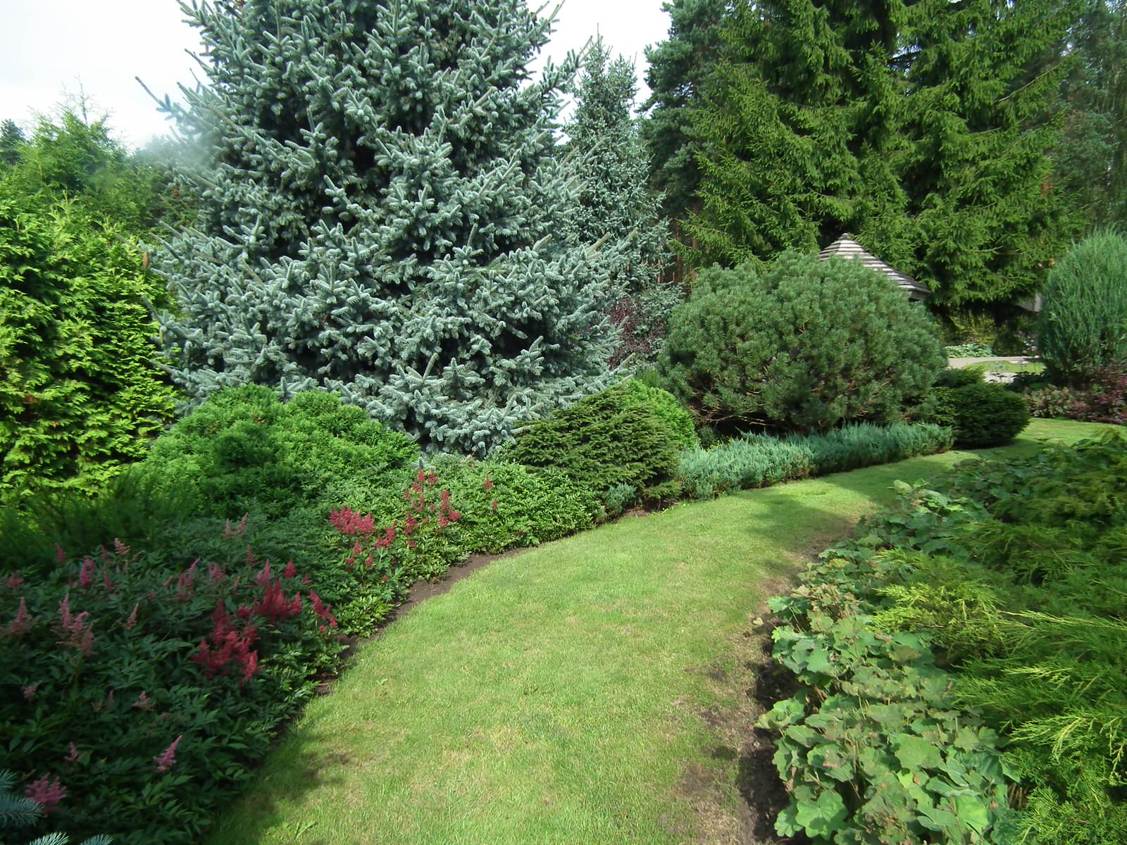 Выполненные работы