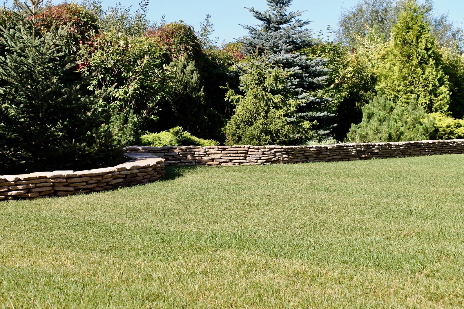 Обложка проекта: Хутор Брехово