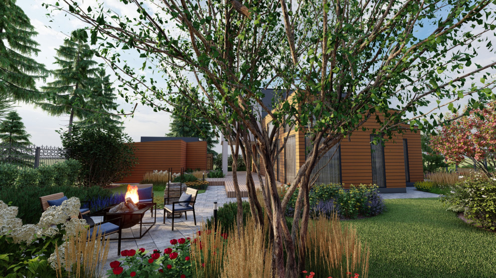 Солнечный лес