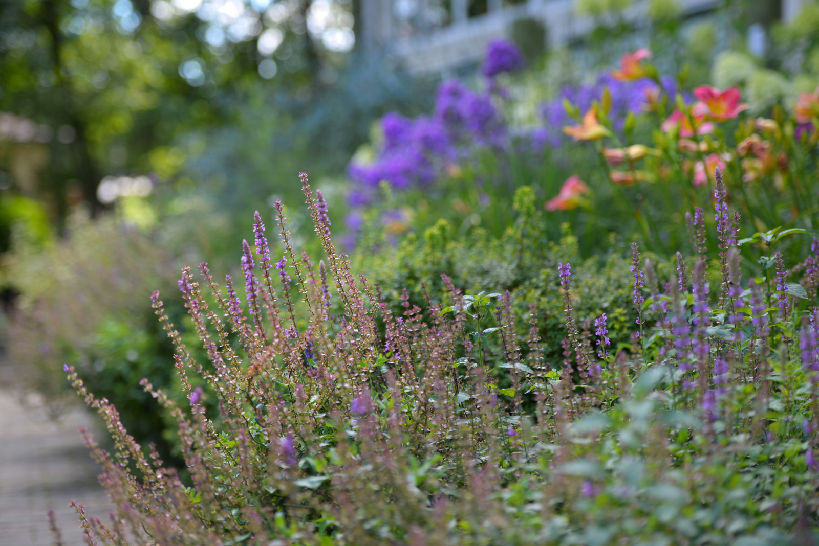 Проект "Волны".Пять лет спустя