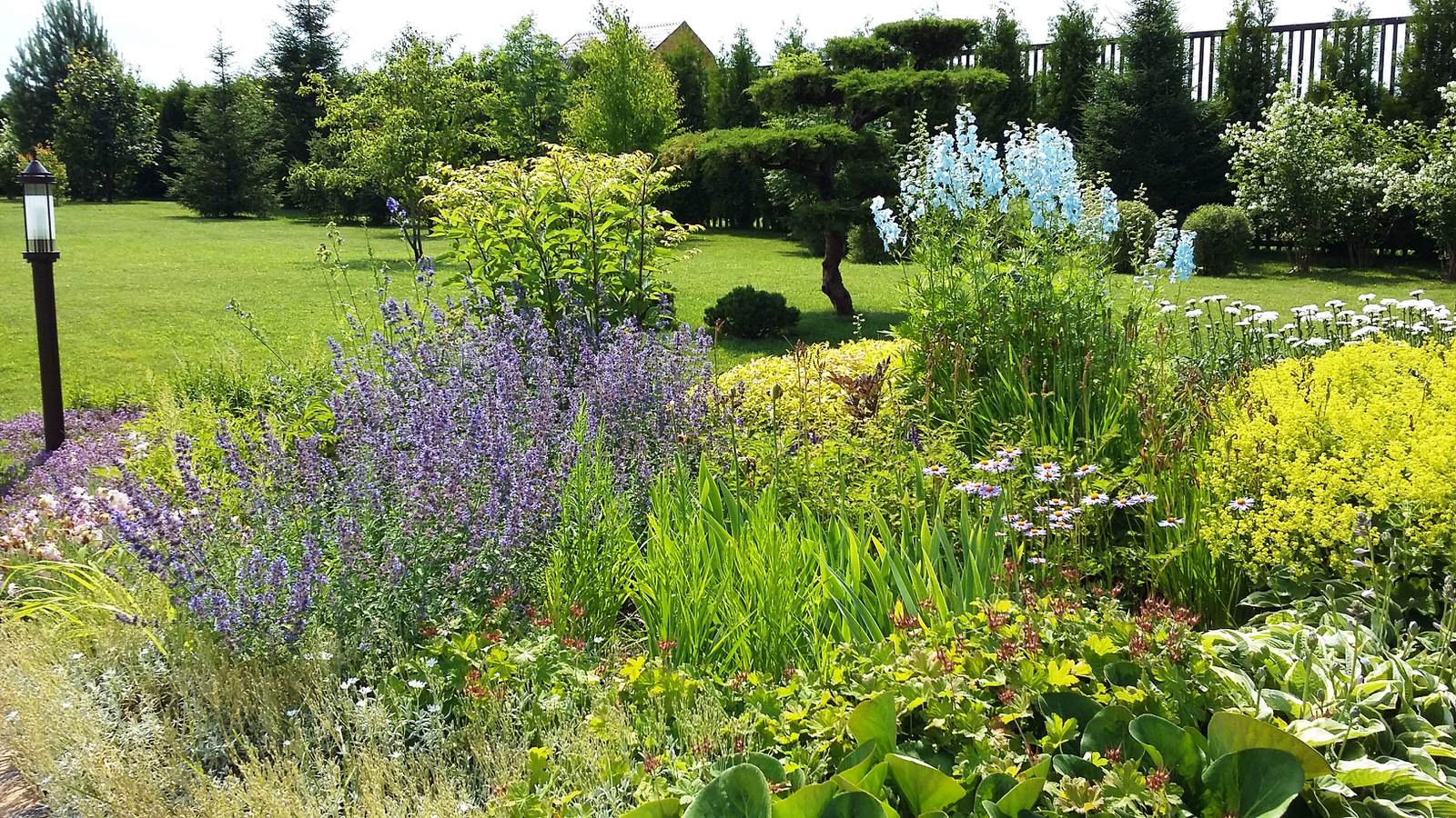 кп "Папушево" - Профессиональный уход за садом - 100% качество!