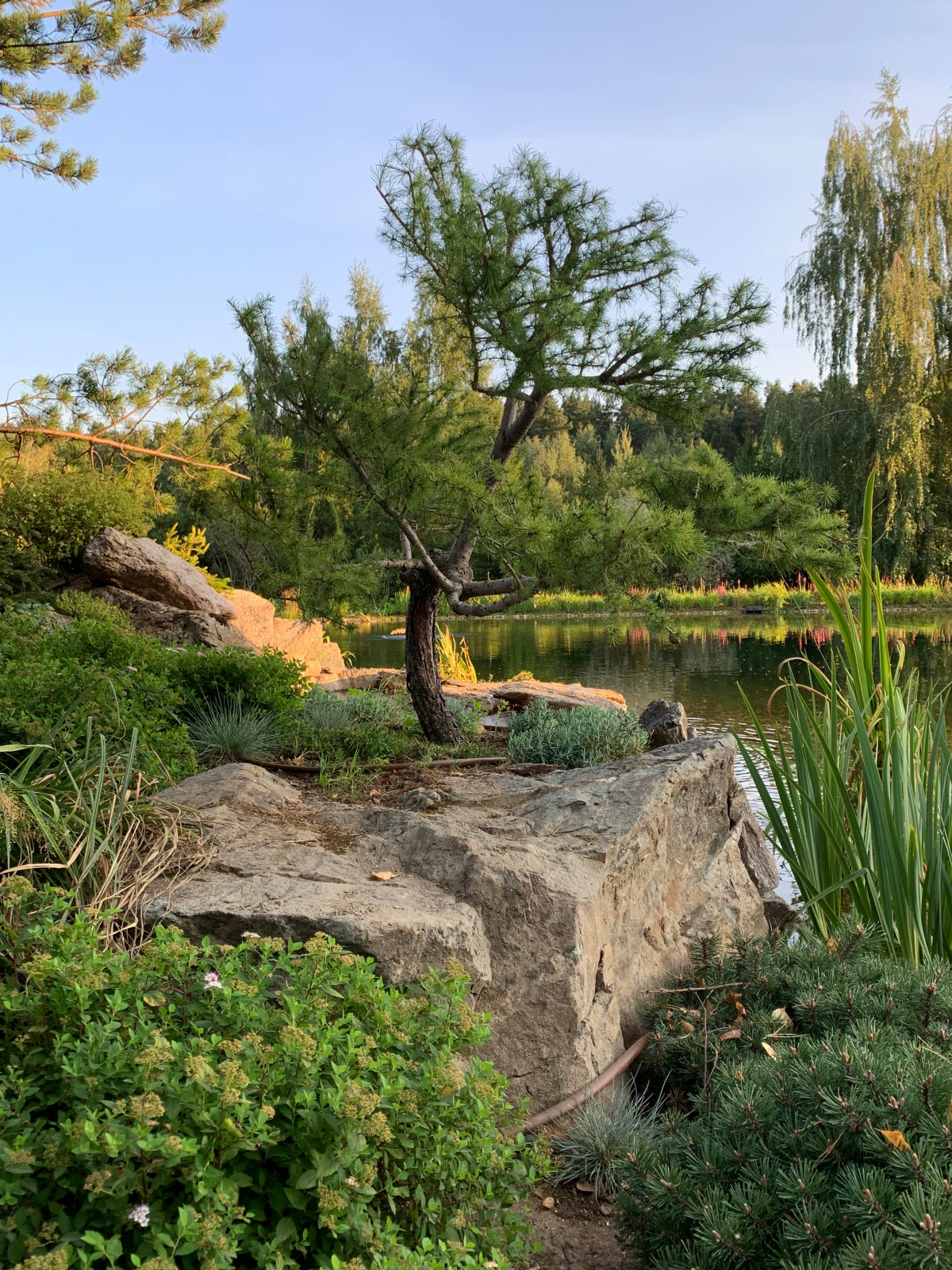 Ландшафт в поселке "Бенилюкс"