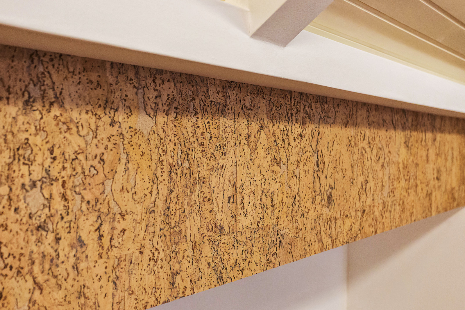 Загородный дом в Санкт-Петербурге