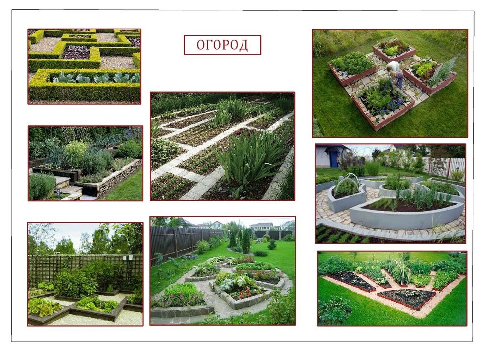 Ландшафтный дизайн - проект 40 соток