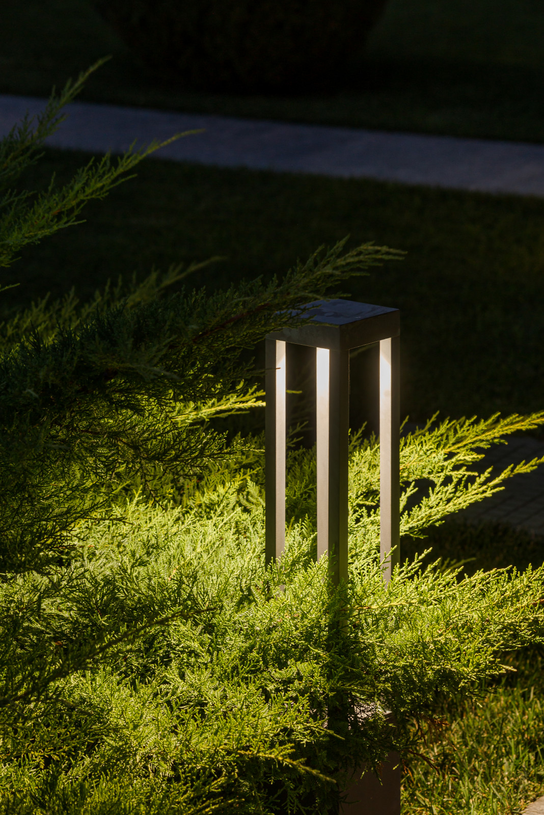 Лазурный Берег Сочи