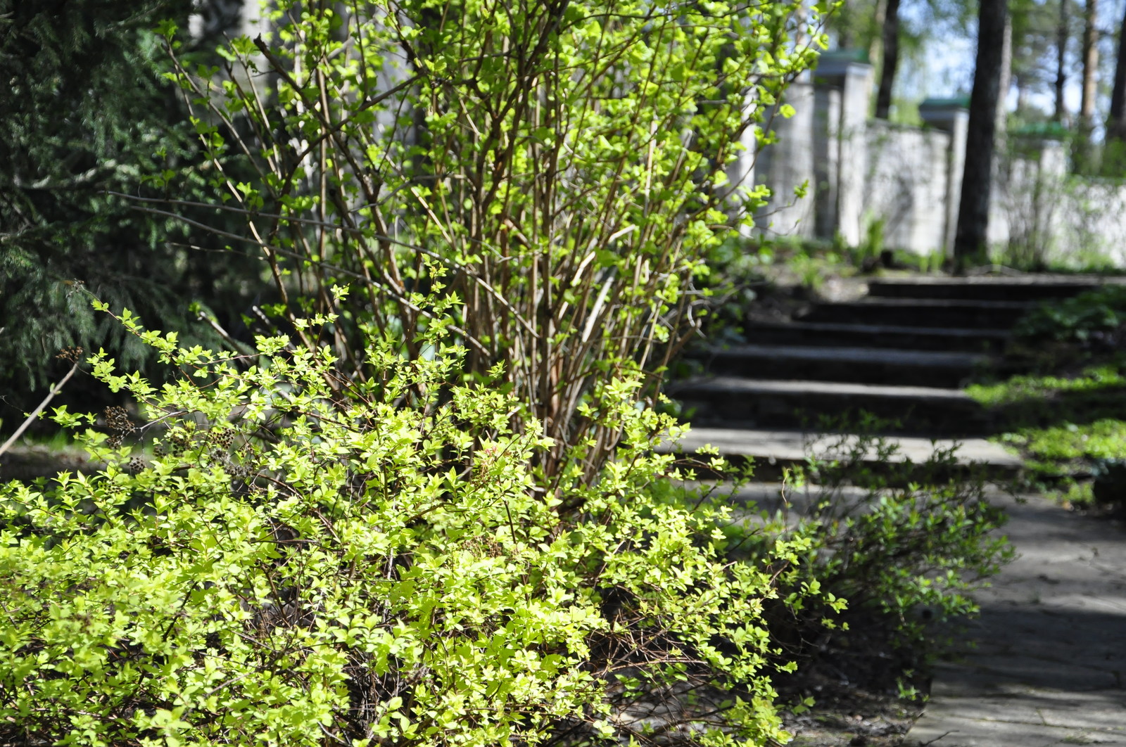 Обложка проекта: кп. "Архангельское" - Уход за садом - 100% качество!