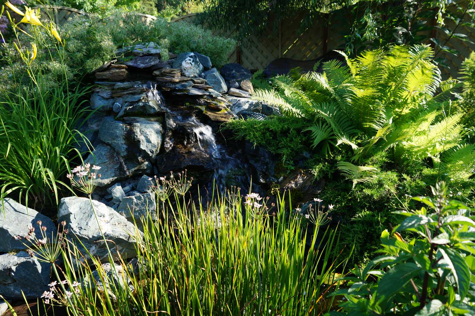 Сад с озером