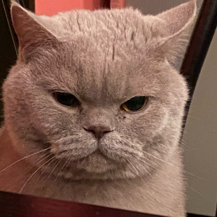 Александра Буланова