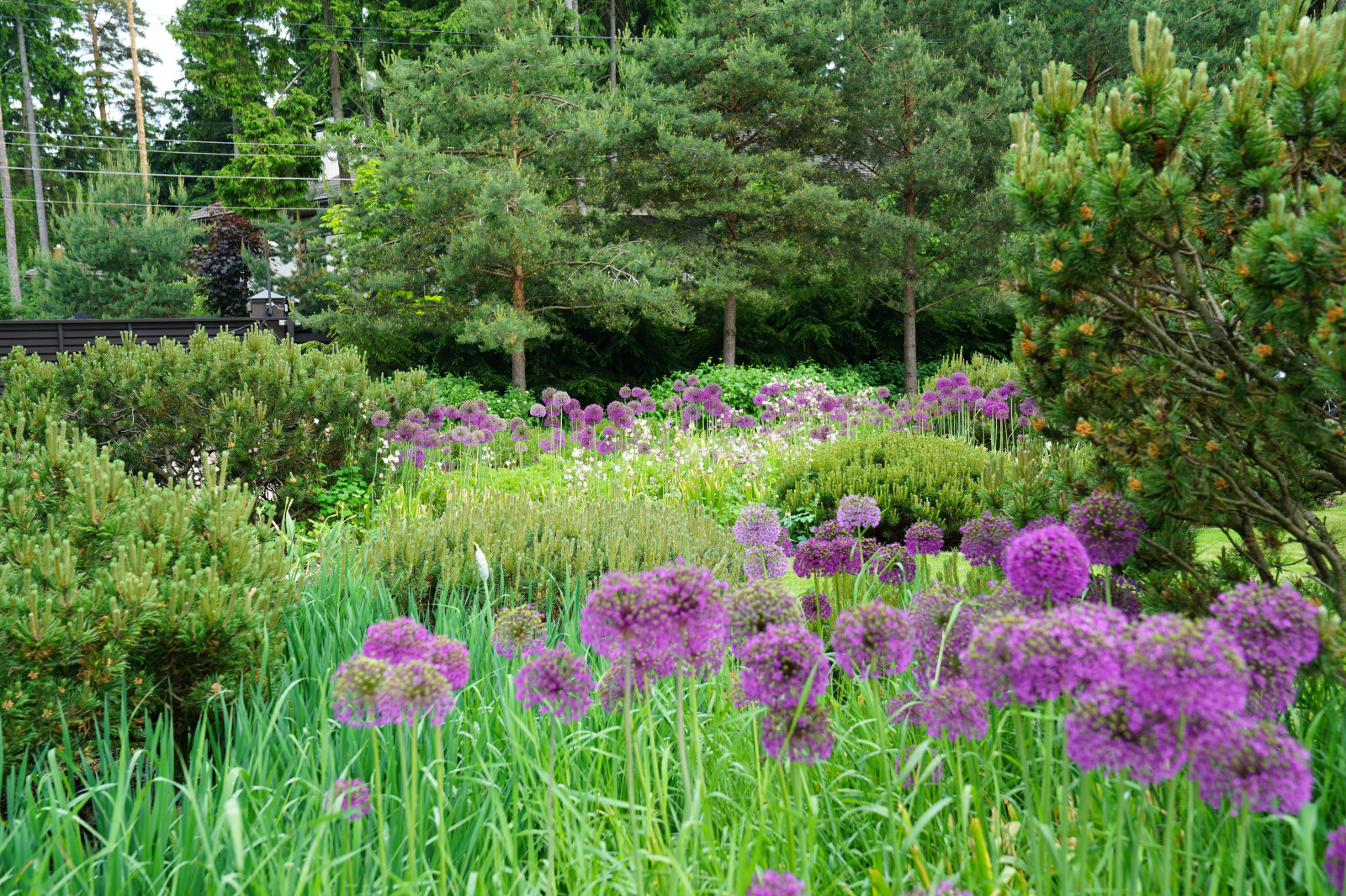 Обложка альбома: mixed border