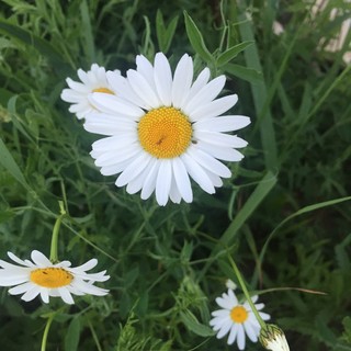 Татьяна Дубейко