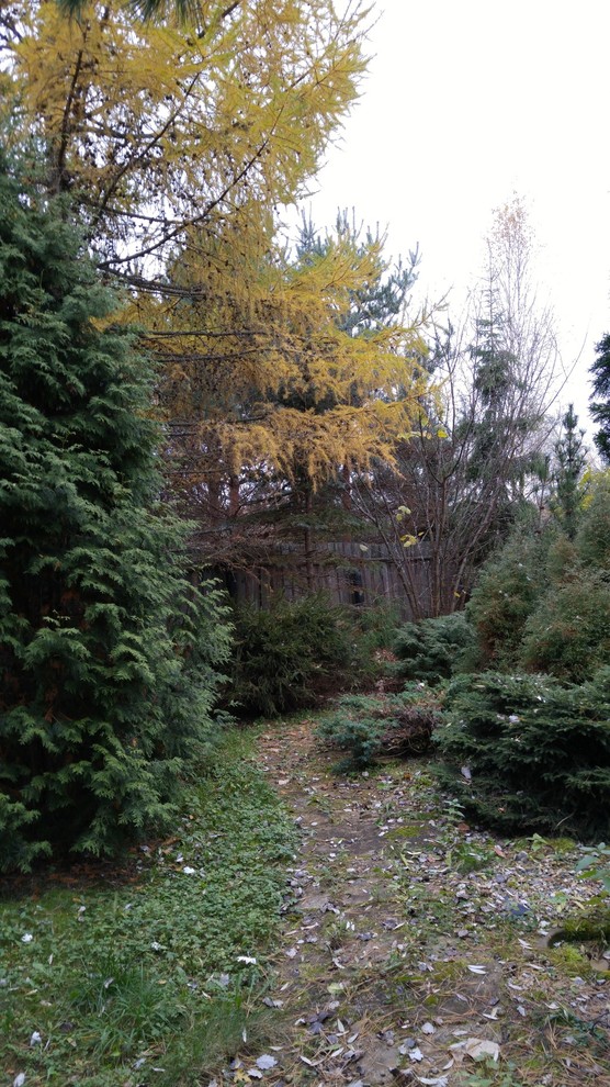 Тропинка в прошлое