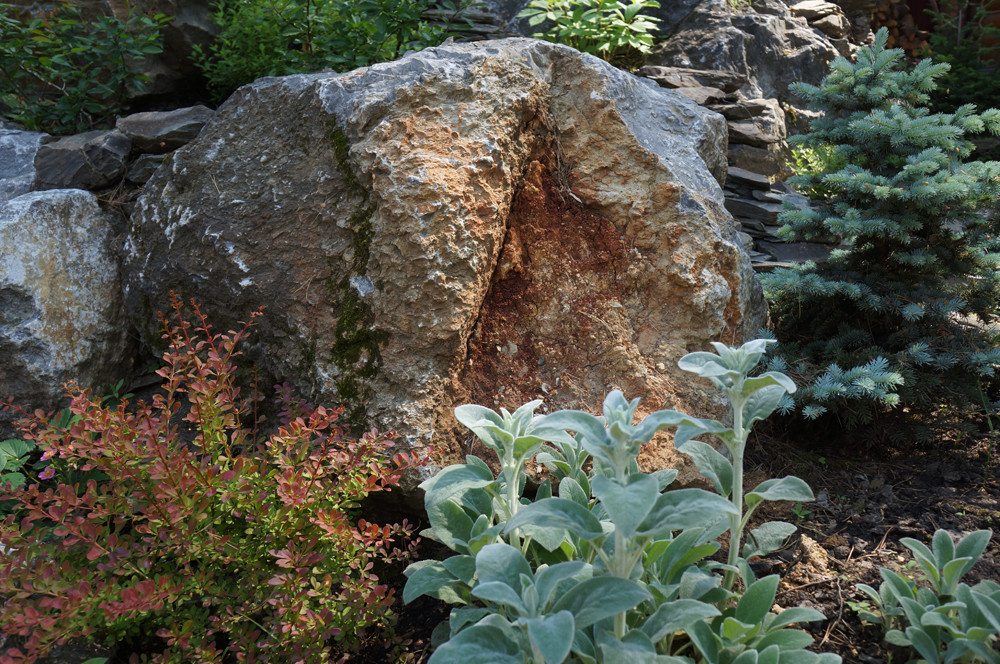 Лесной пейзаж