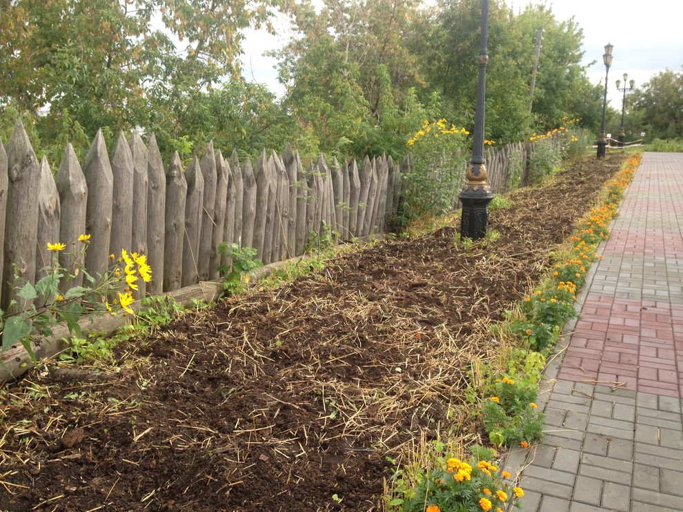 Цветник из аборигенных растений Томской области