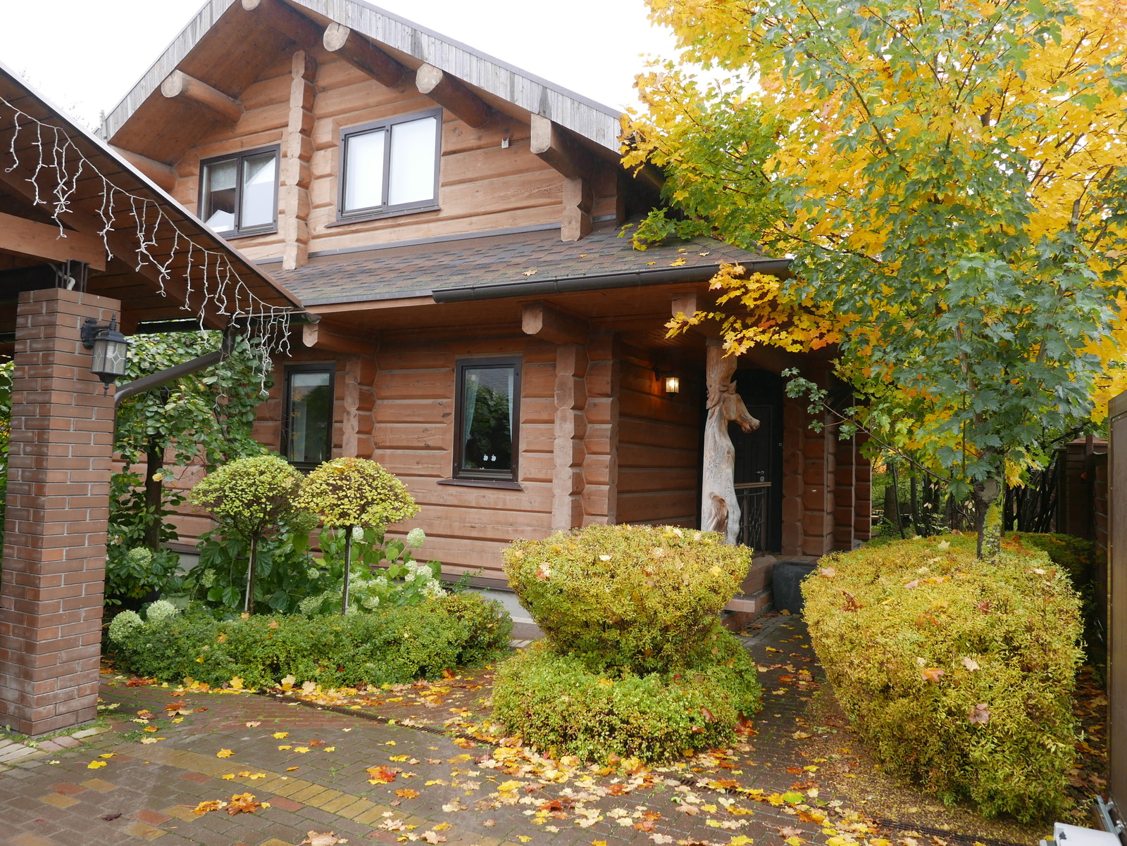 Буйство красочных форм в осеннем саду