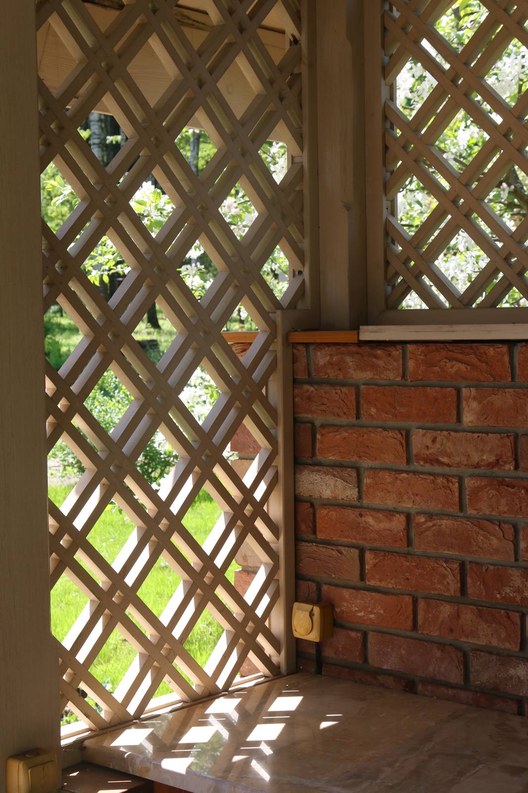 Бельгийка 01