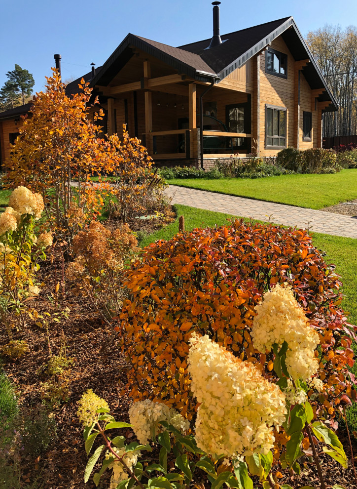 Усадьба на краю леса