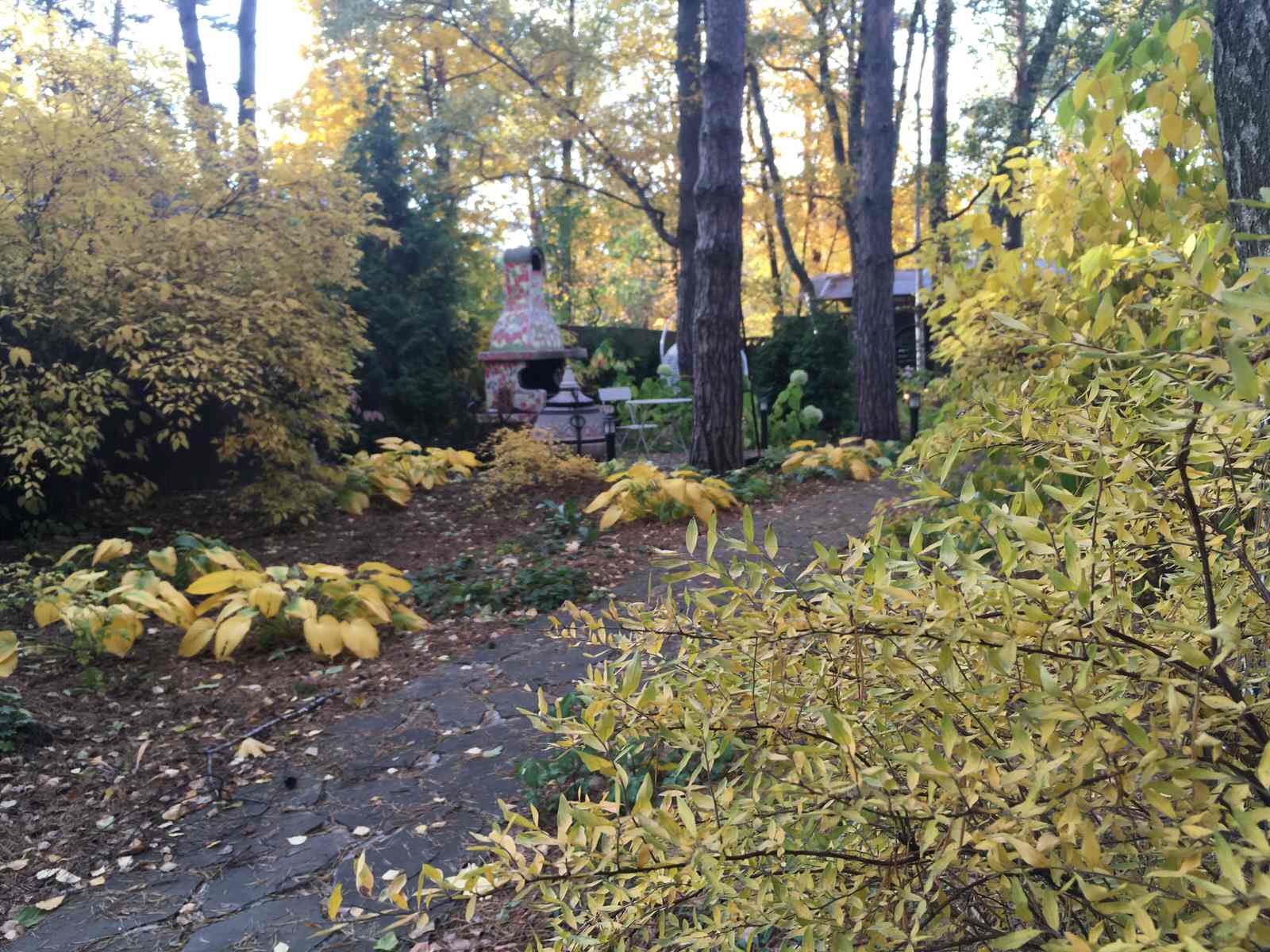 Белкин сад. Осень 2019