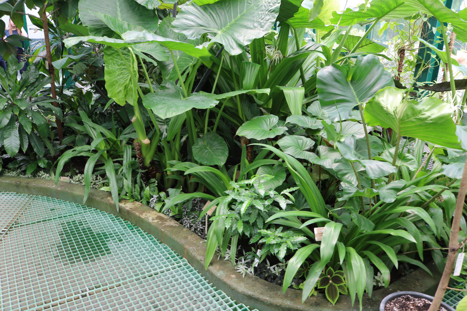 Зимние сады