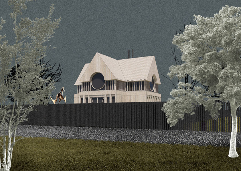 Дом в Репино