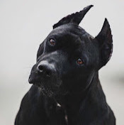 Равиль Агишов