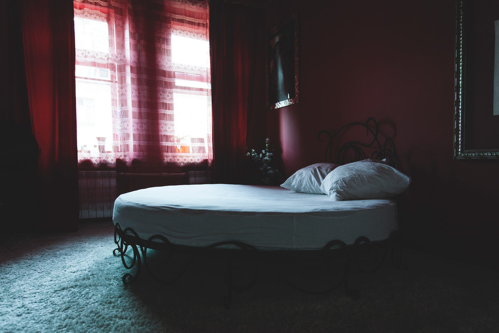 В гостях: Каждый желает знать, где сидит фазан в московской квартире