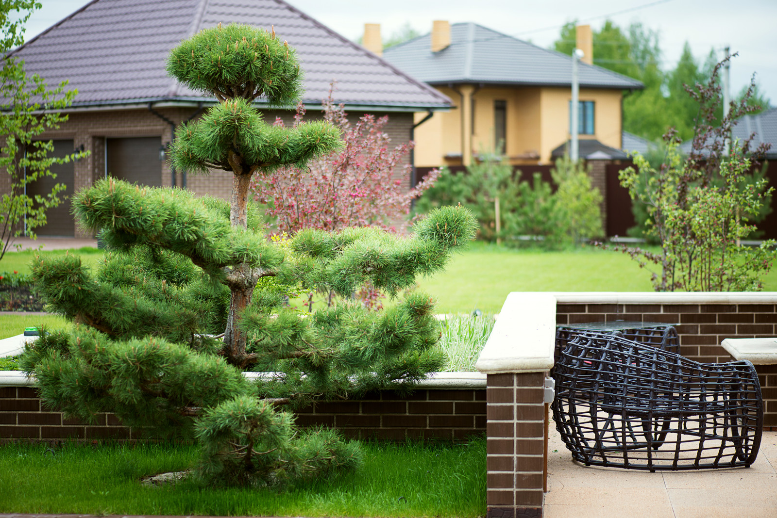 Хочу-могу: Сад «с нуля» —за 500 тысяч, 1 млн и 1,5 млн