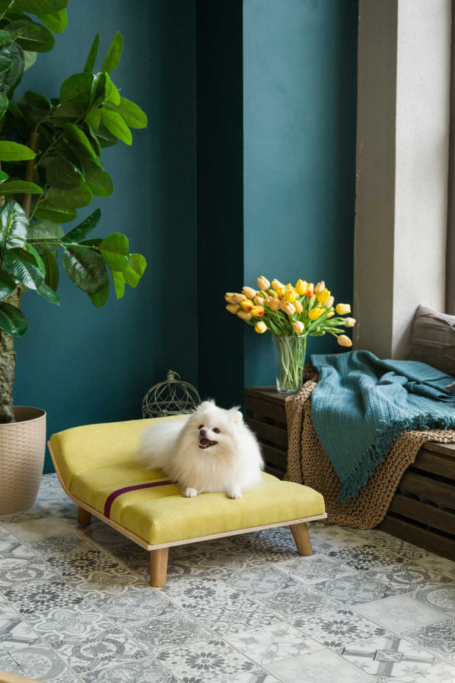 Мебель из массива для животных. Модель SONO-Y