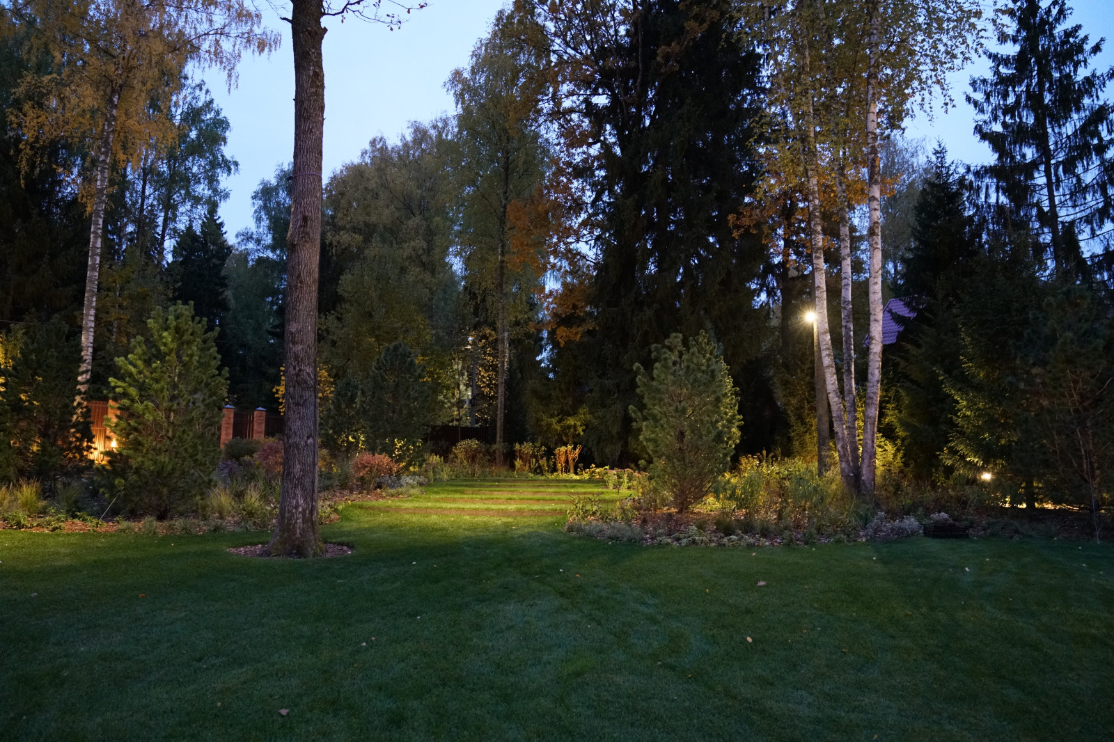 Таймлайн: 11 месяцев на реконструкцию сада 45 соток