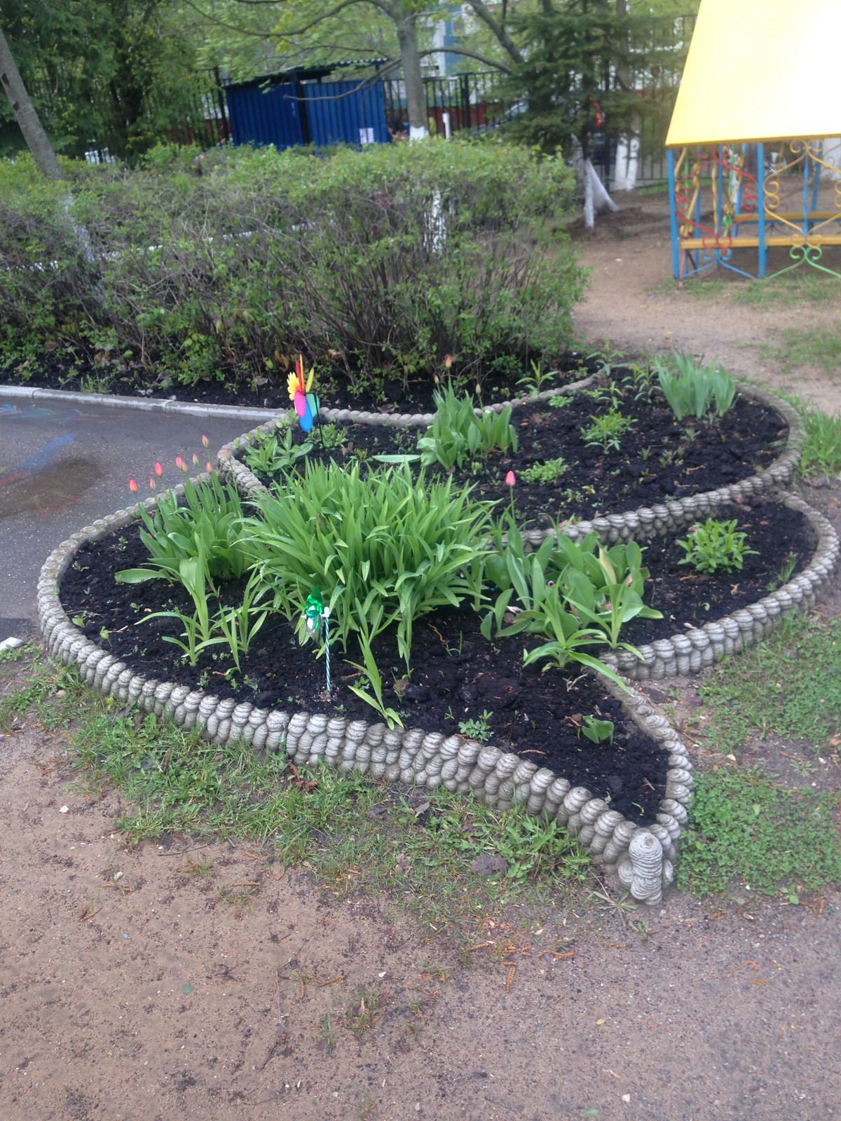 Сергей Чесноков