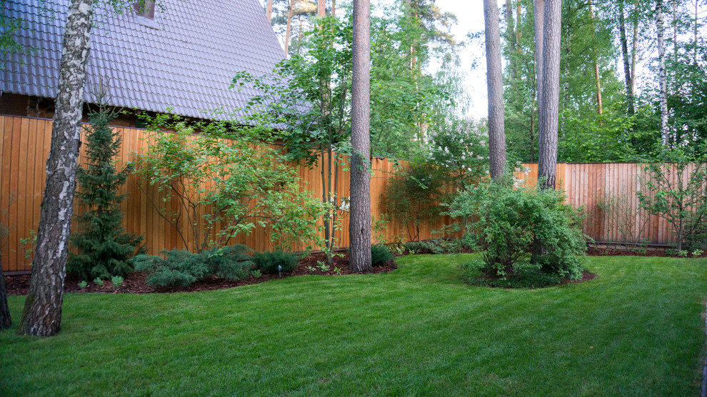 Дерево и Камень