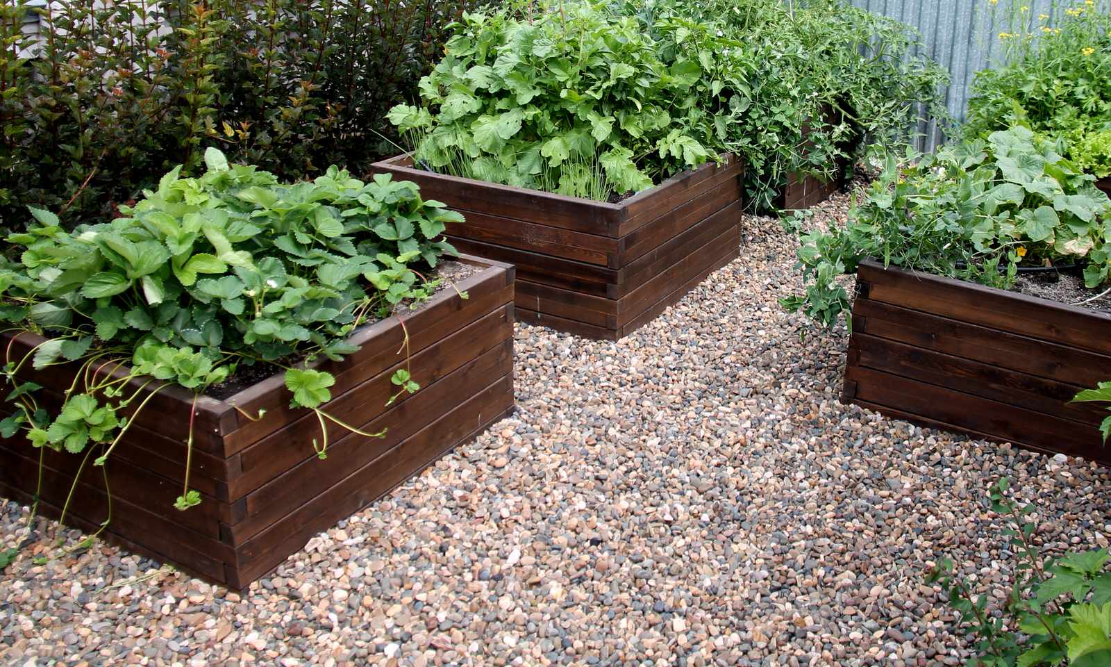 Обложка проекта: "Замыкая круг"