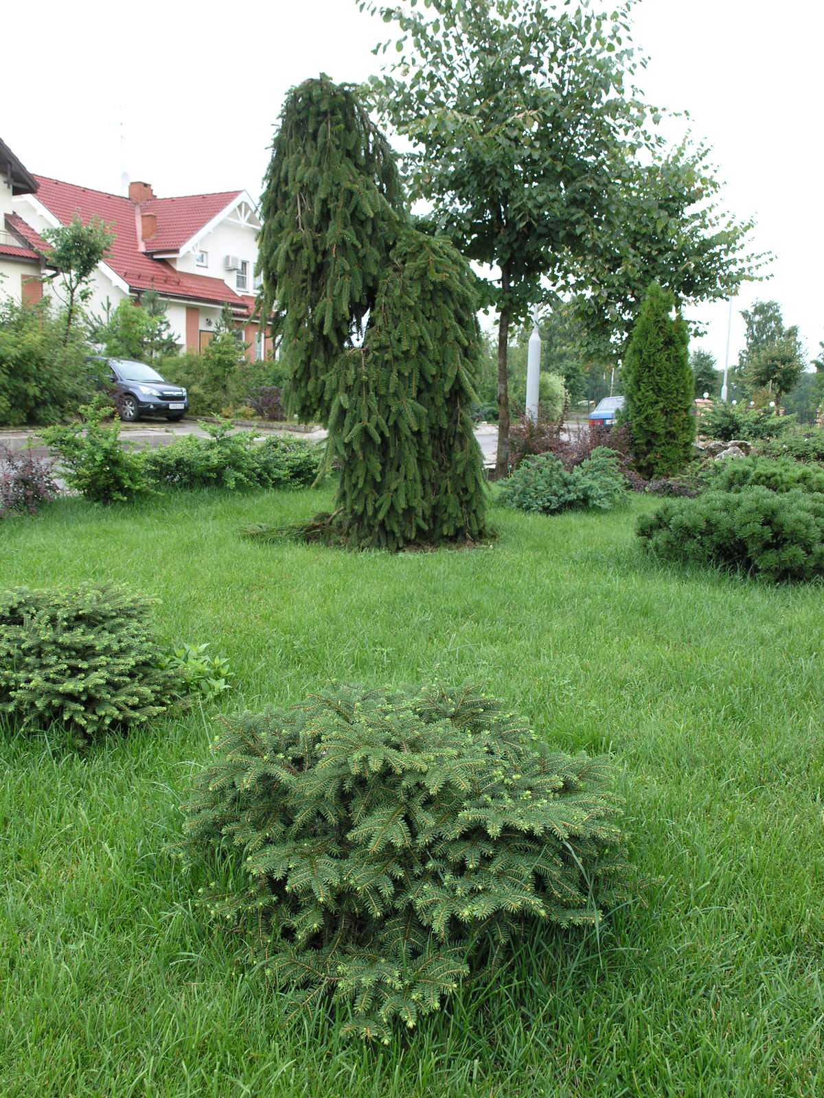 Обложка проекта: Архангельское-Тюриково