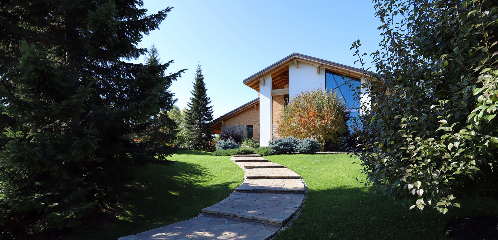 Сад с большими пихтами