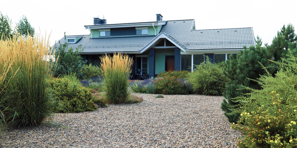 Полынный берег. Новые снимки