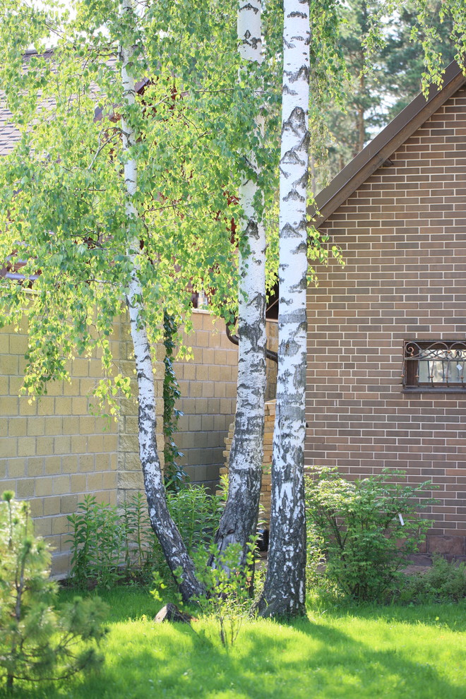 Березовая роща