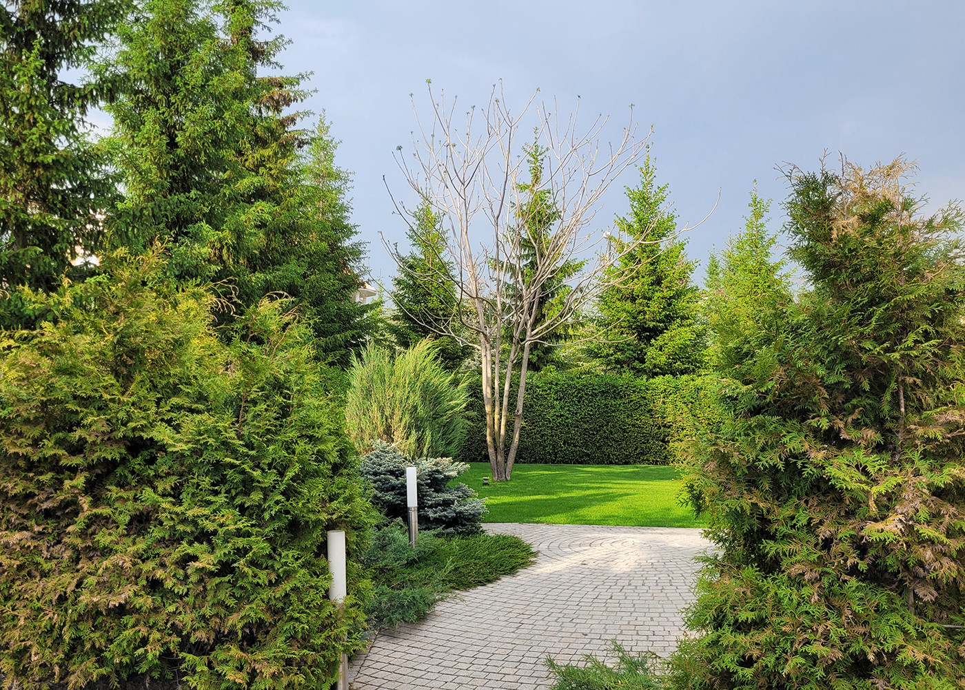 Сад с геометричным водоемом