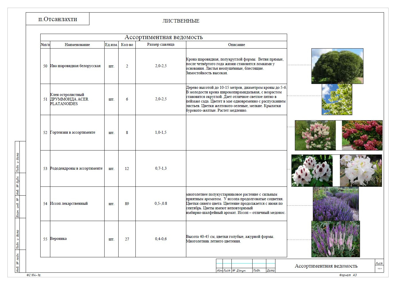 Отсанлахти. Ландшафтное проектирование
