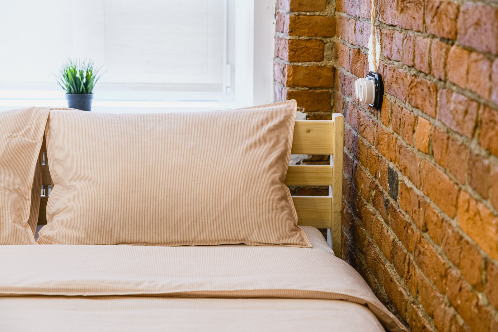 Две квартиры на сдачу в центре Спб