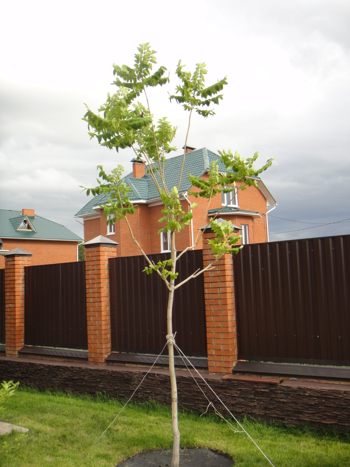 Ландшафтные работы и озеленение участка в Юрге