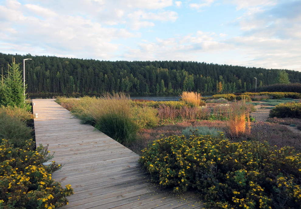 Полынный берег. Новые снимки