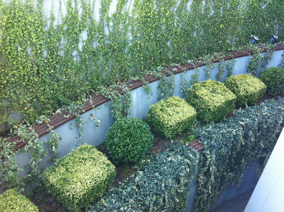 Обложка проекта: ЖК "Королевский парк"