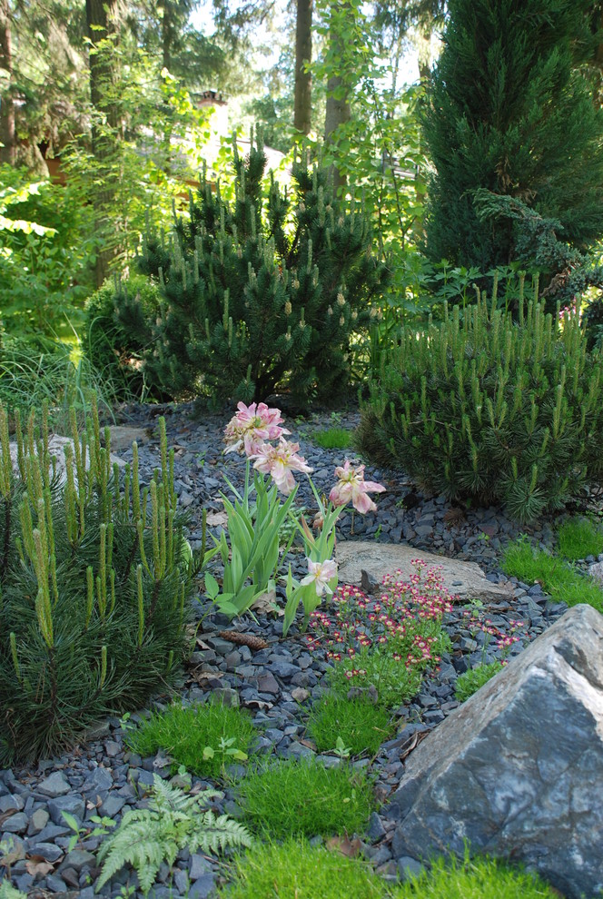 Успенское шоссе РИИТА