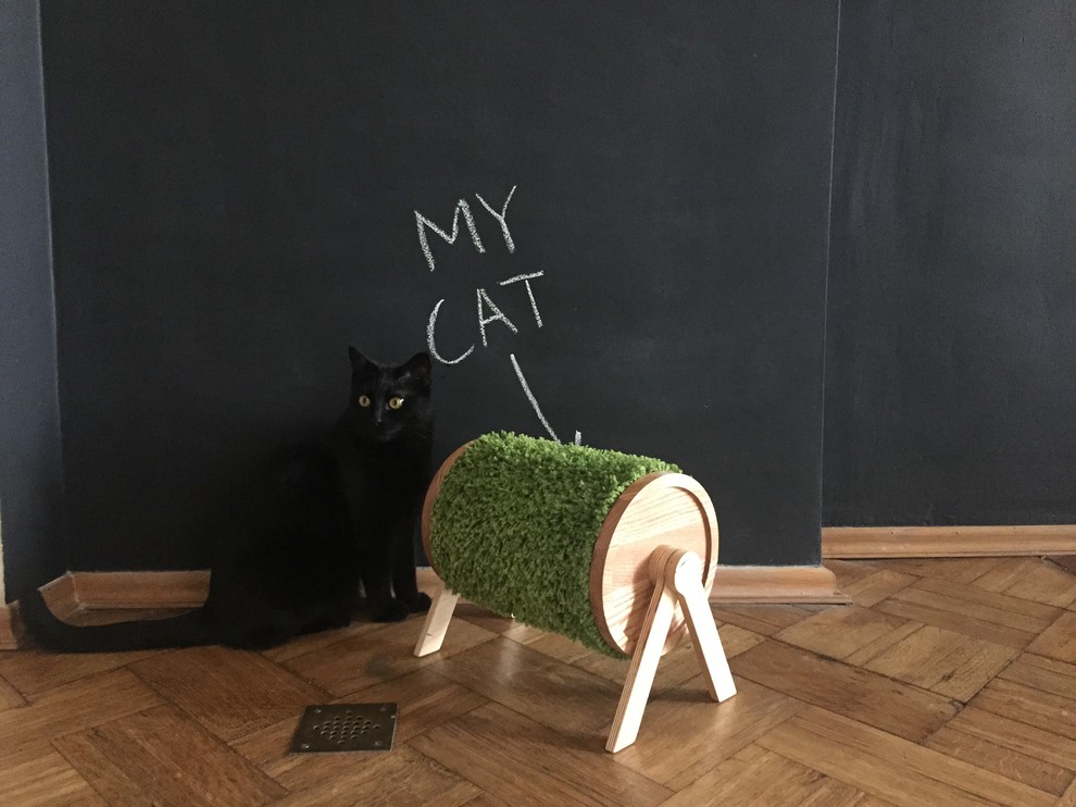 Портрет: Мебель для хвостатых питомцев от Pettel Design