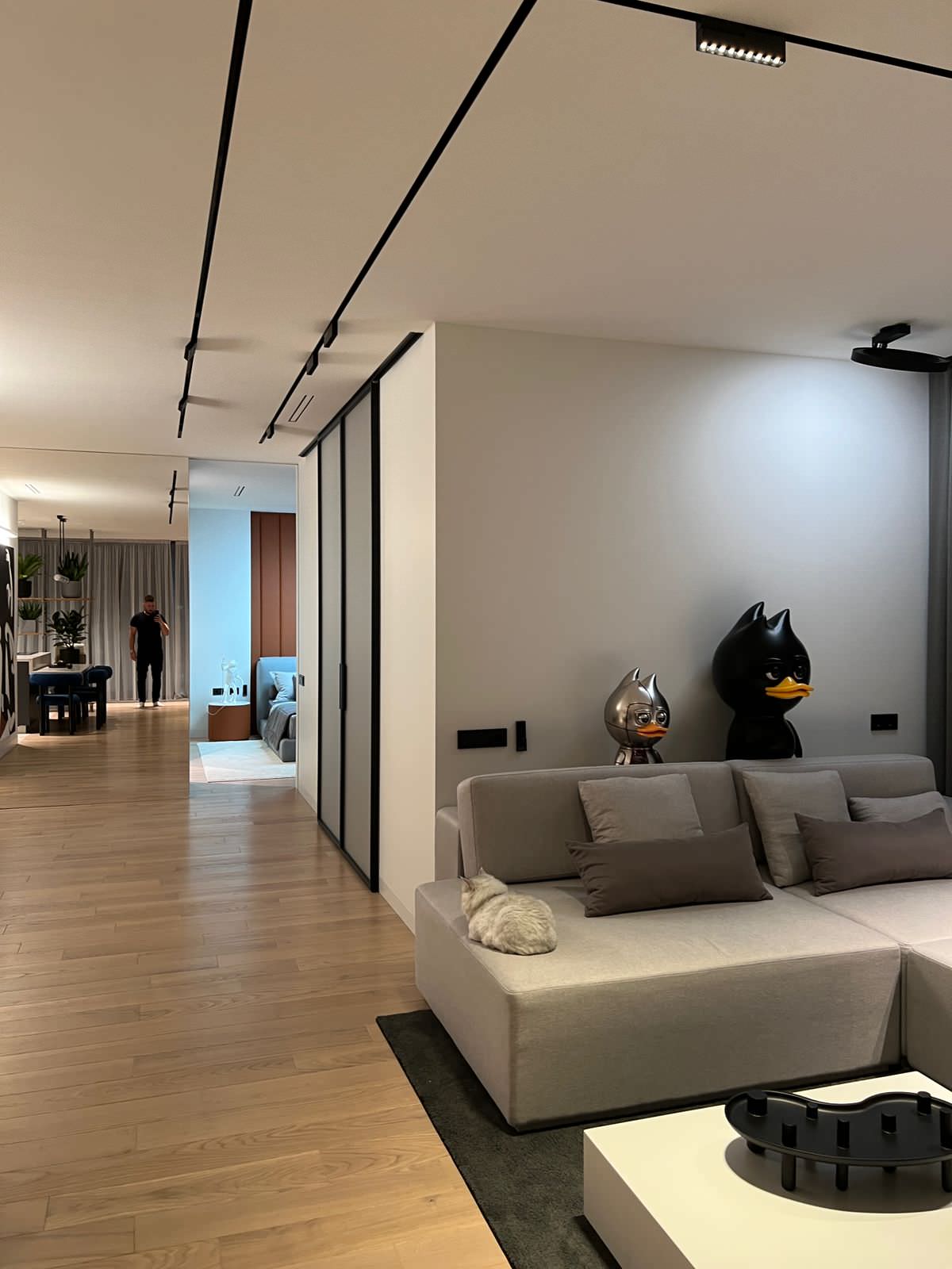 Фотосессия  - двери, мебель и перегородки в московской квартире