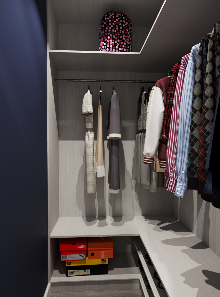 Обложка проекта: Визуализация гардеробной