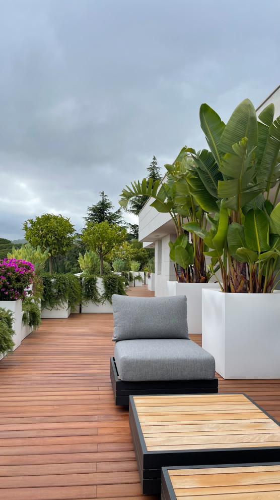 Обложка проекта: Terraza