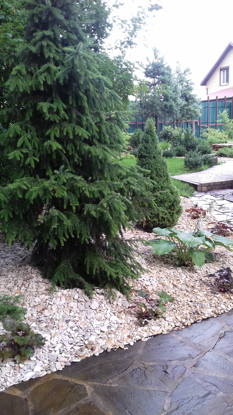 Обложка проекта: Дизайн сада в тени.