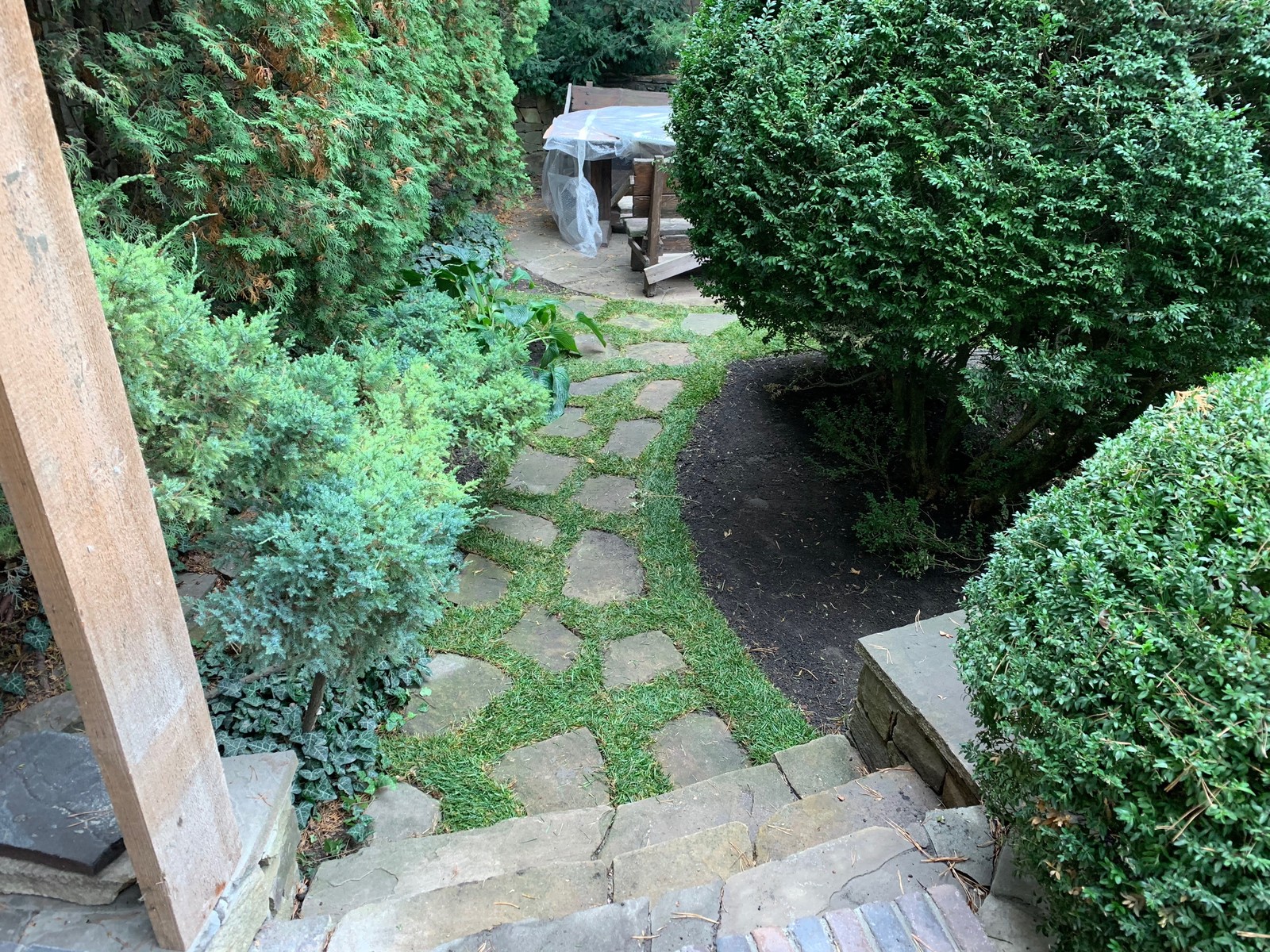 Ландшафт частного участка