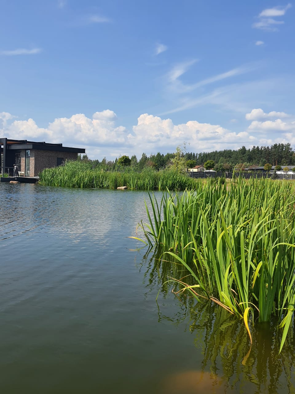 Декоративный водоём в п. Репино (Лен. обл.)